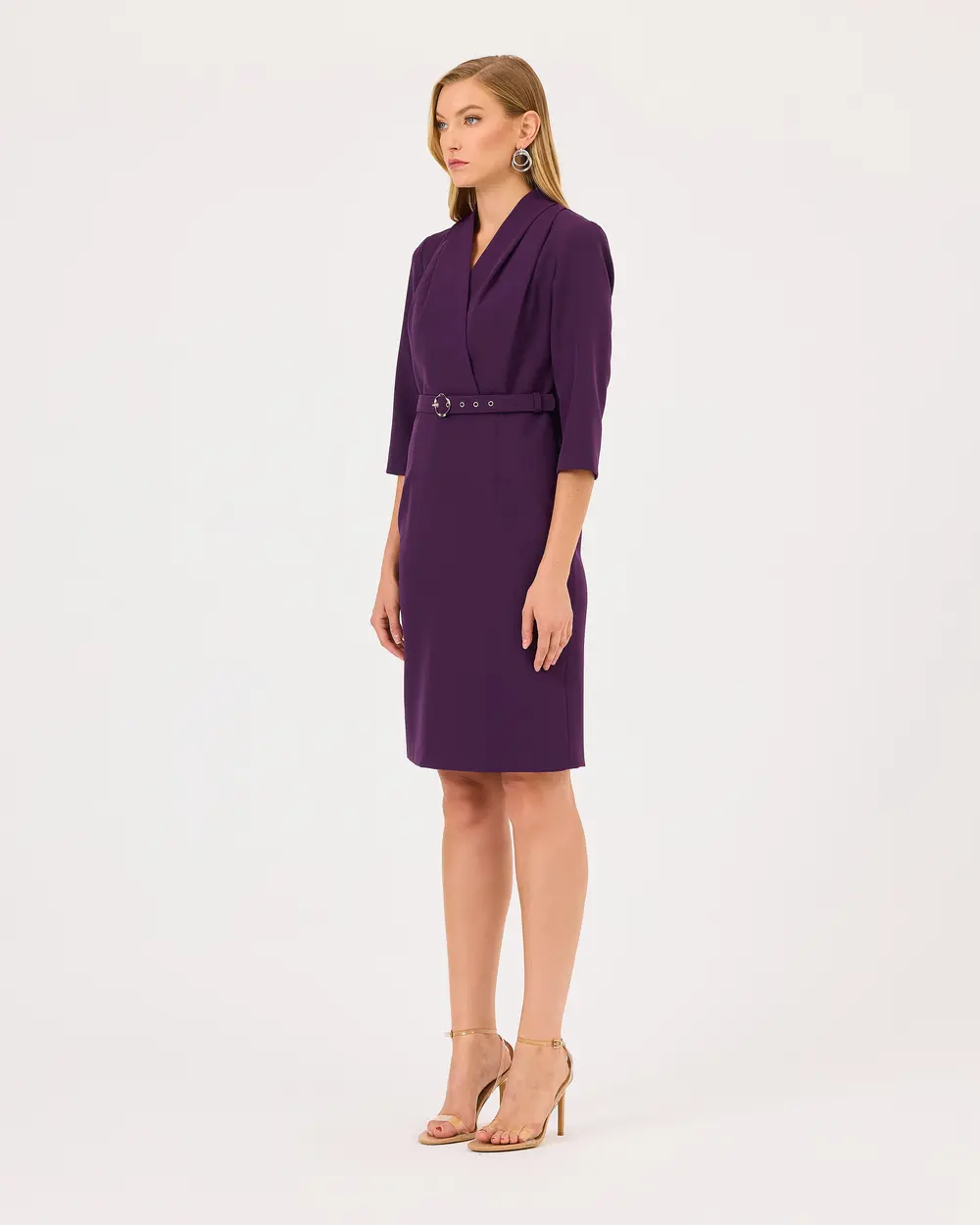 Double-breasted Collar Belted Dress