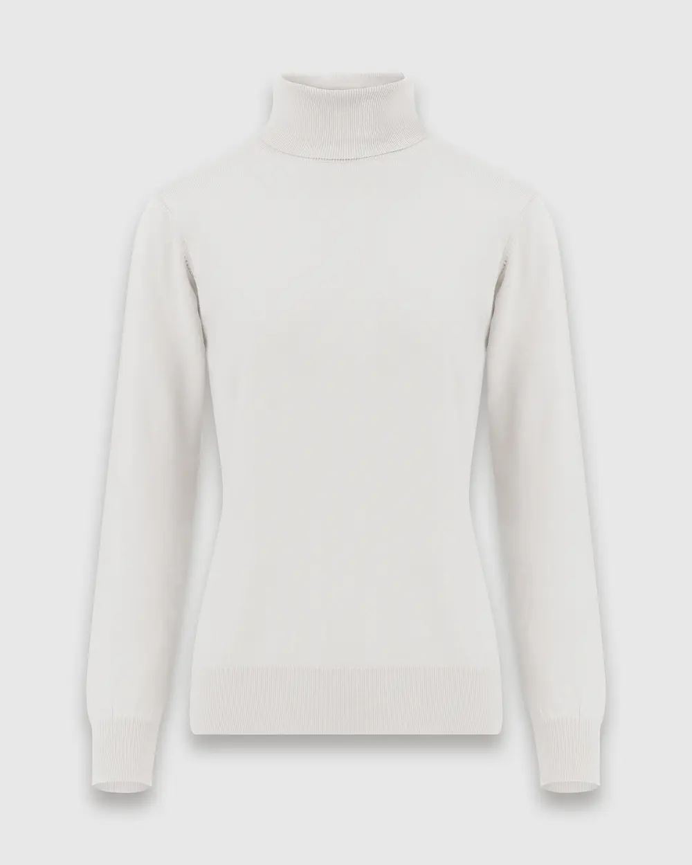 Full Turtleneck Long Sleeve Sweater Blouse