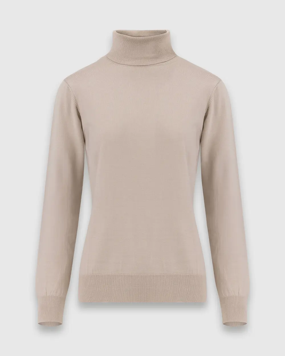 Full Turtleneck Long Sleeve Sweater Blouse