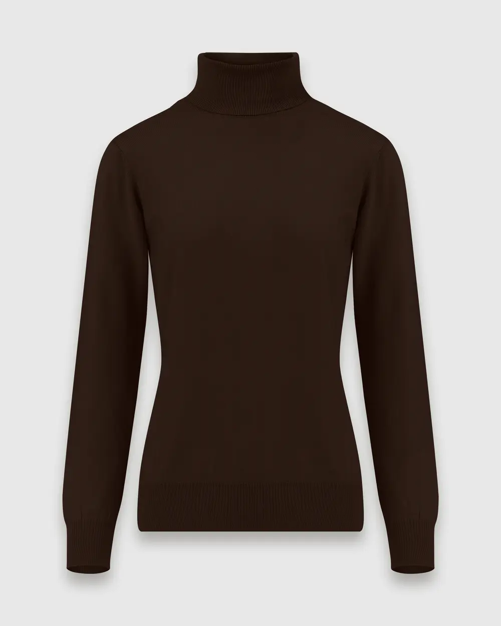 Full Turtleneck Long Sleeve Sweater Blouse