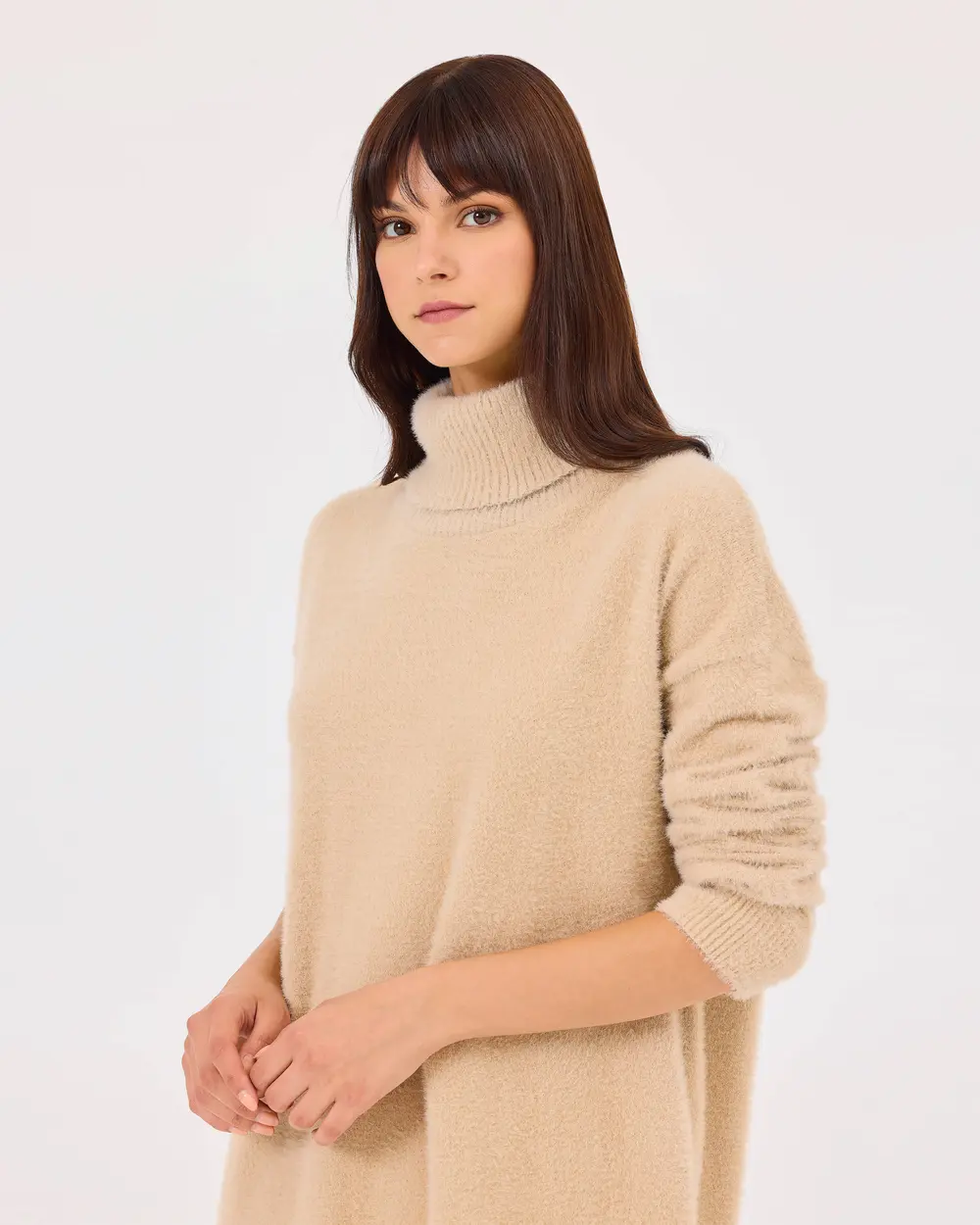 Turtleneck Under Thigh Sweater Tunic