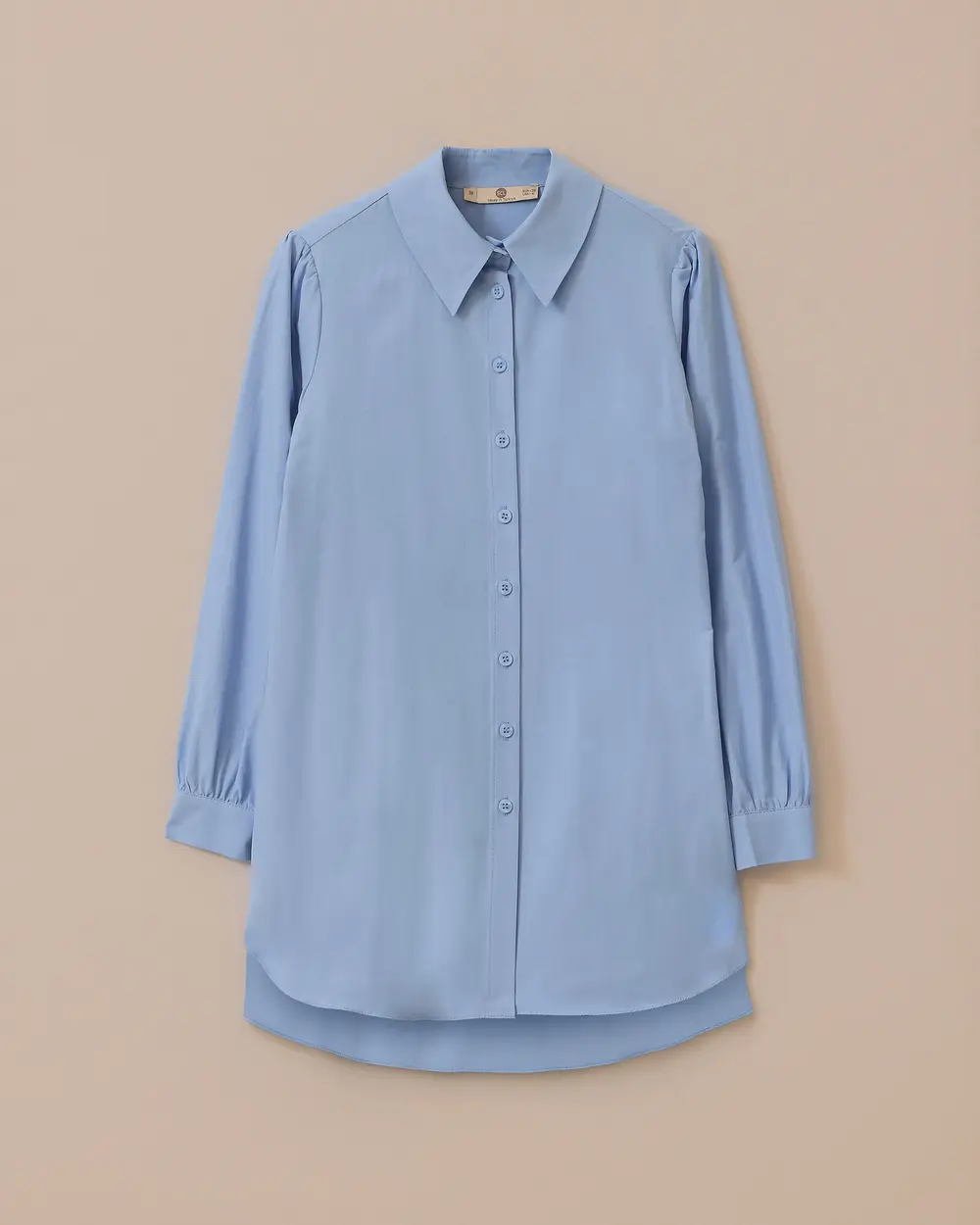 Shirt Collar Back Pleated Buttoned Tunic