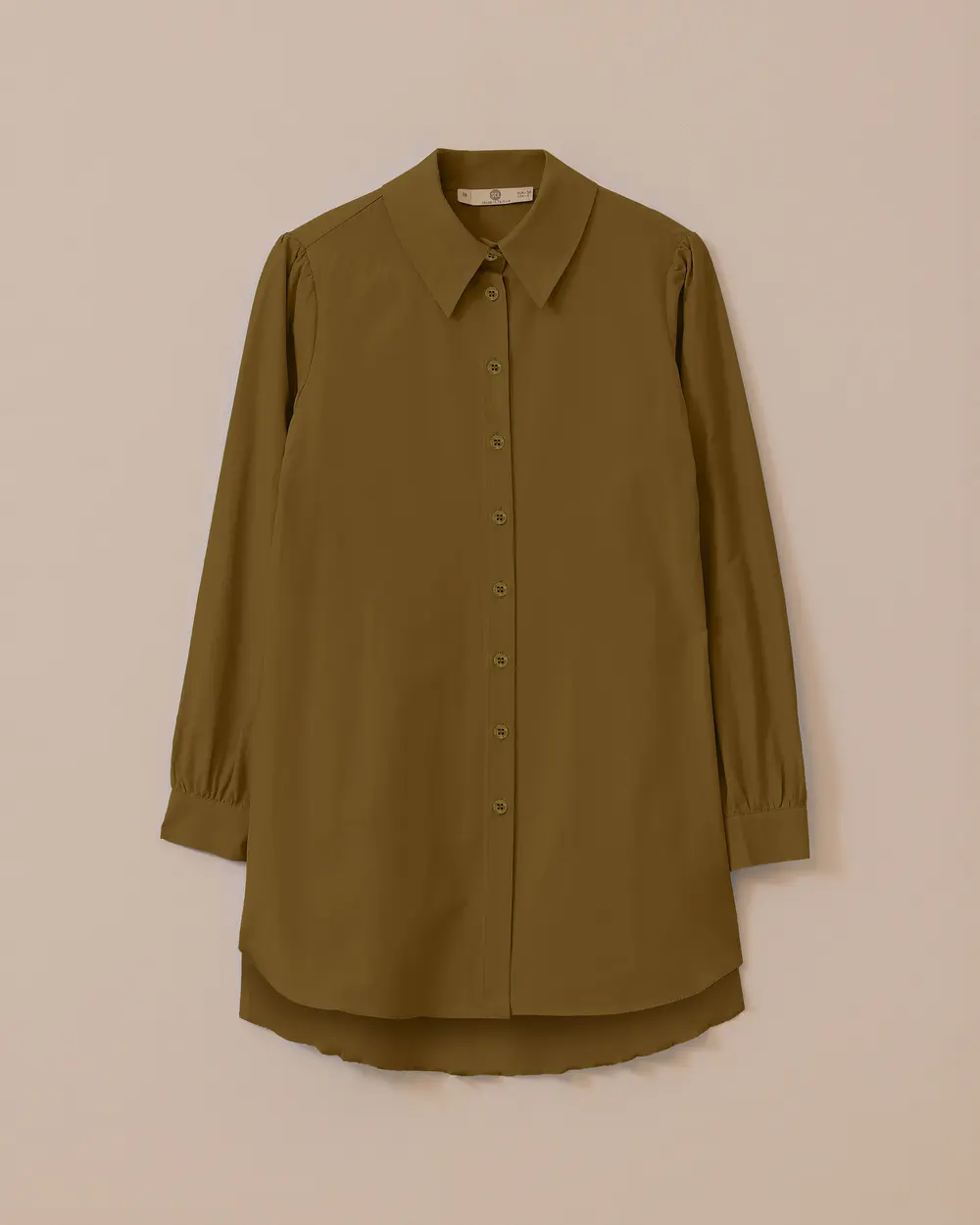 Shirt Collar Back Pleated Buttoned Tunic