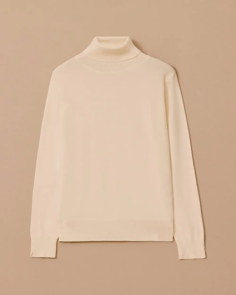 Full Turtleneck Knitted Sweater Blouse