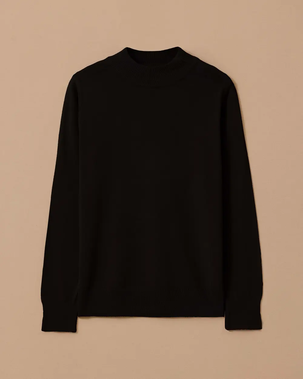 Half Turtleneck Basic Sweater Blouse