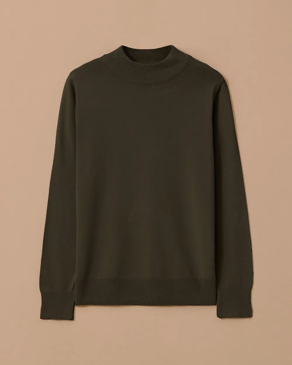 Half Turtleneck Basic Sweater Blouse