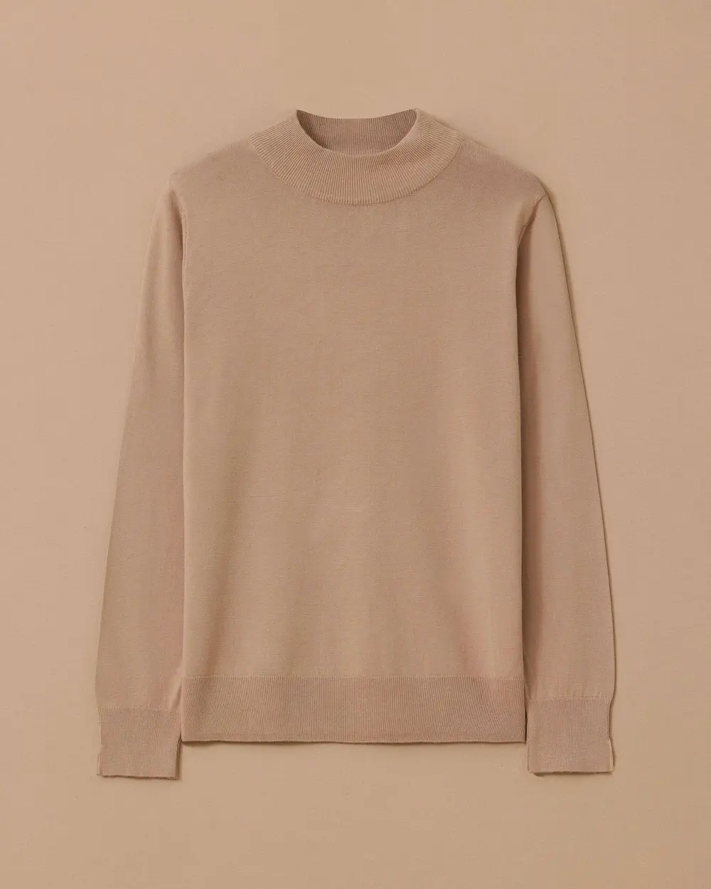 Half Turtleneck Basic Sweater Blouse