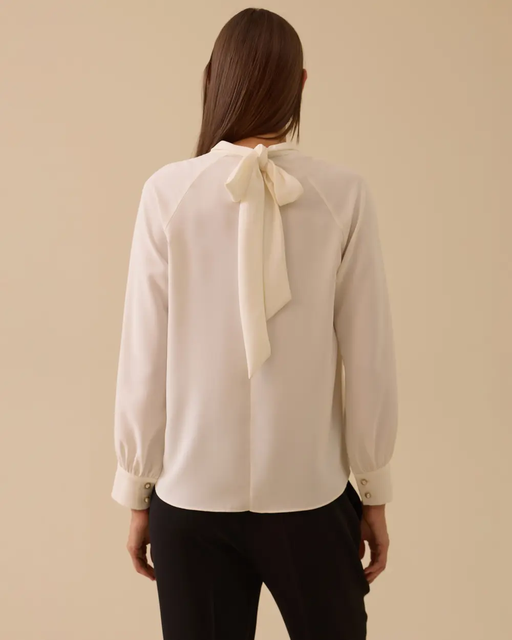 Stand Collar Pleated Detailed Blouse