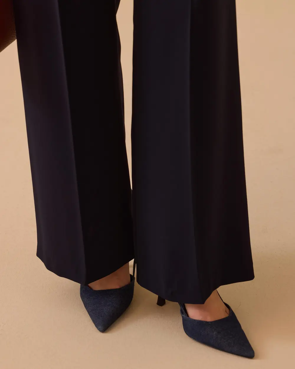 Elena Single Pleated Wide Leg Pants