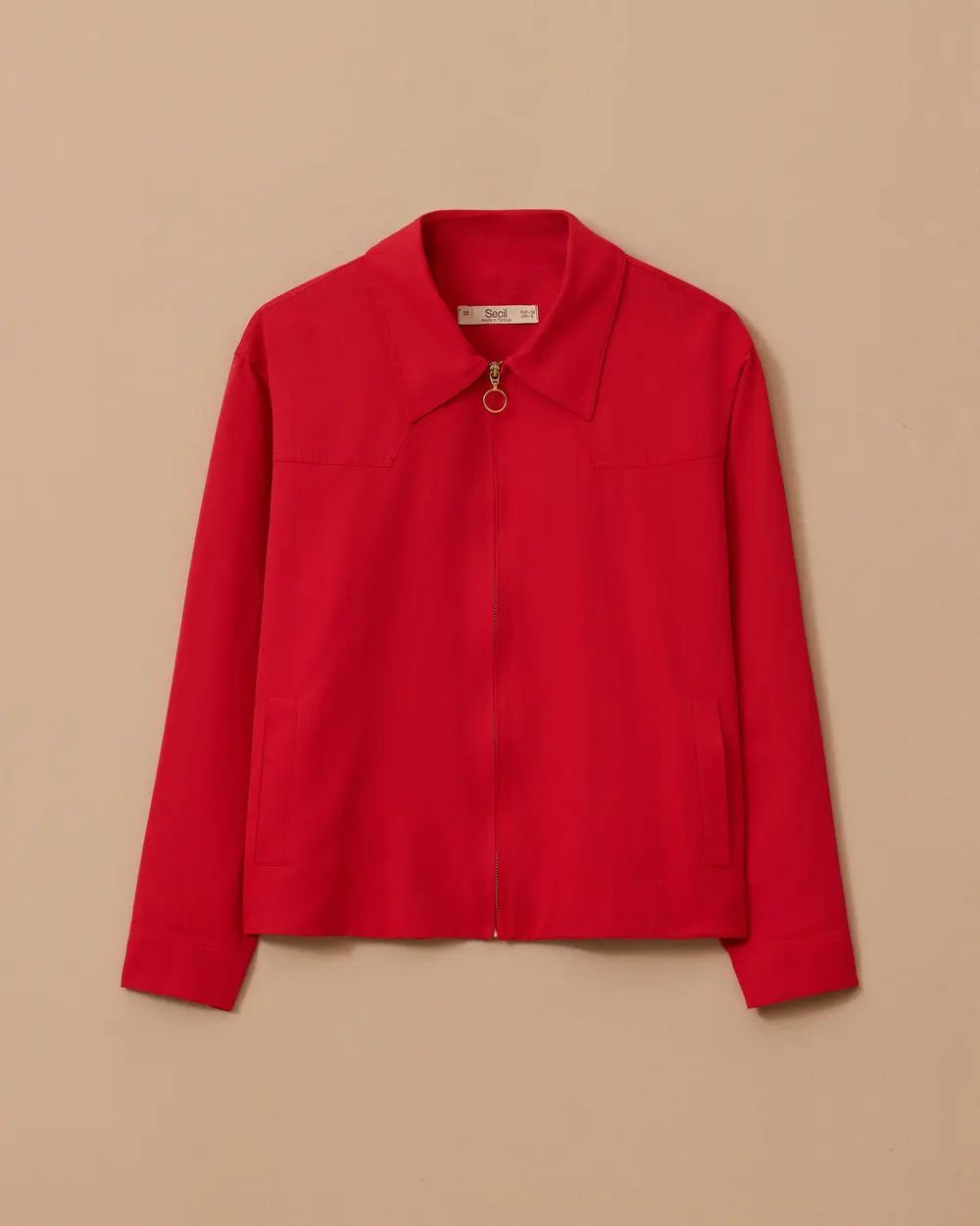 Shirt Collar Zipper Jacket