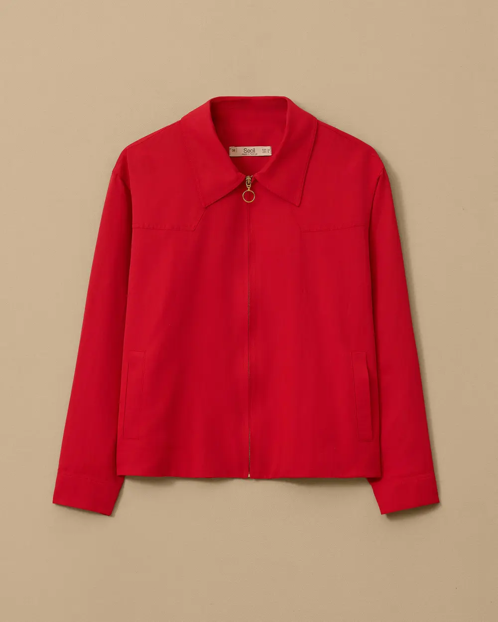 Shirt Collar Zipper Jacket