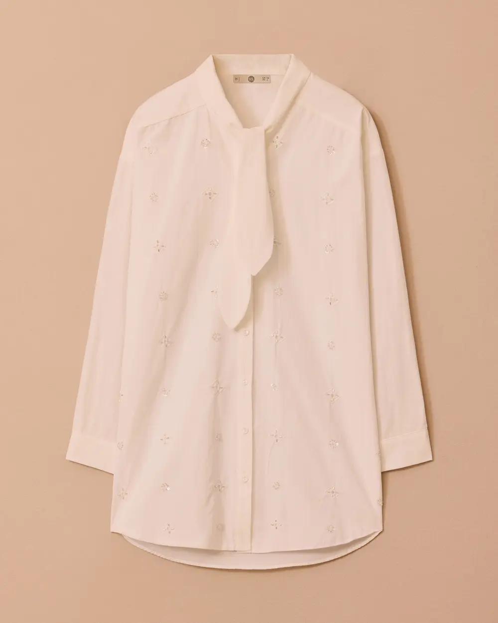 Tunic with a Scarf Collar