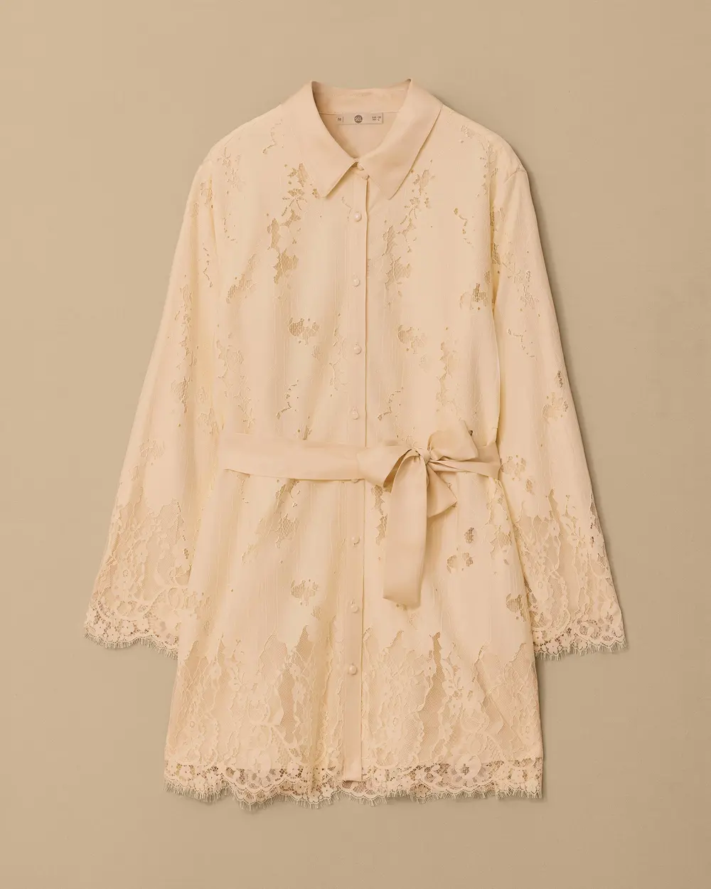 Elegant Tunic with Lace Detail