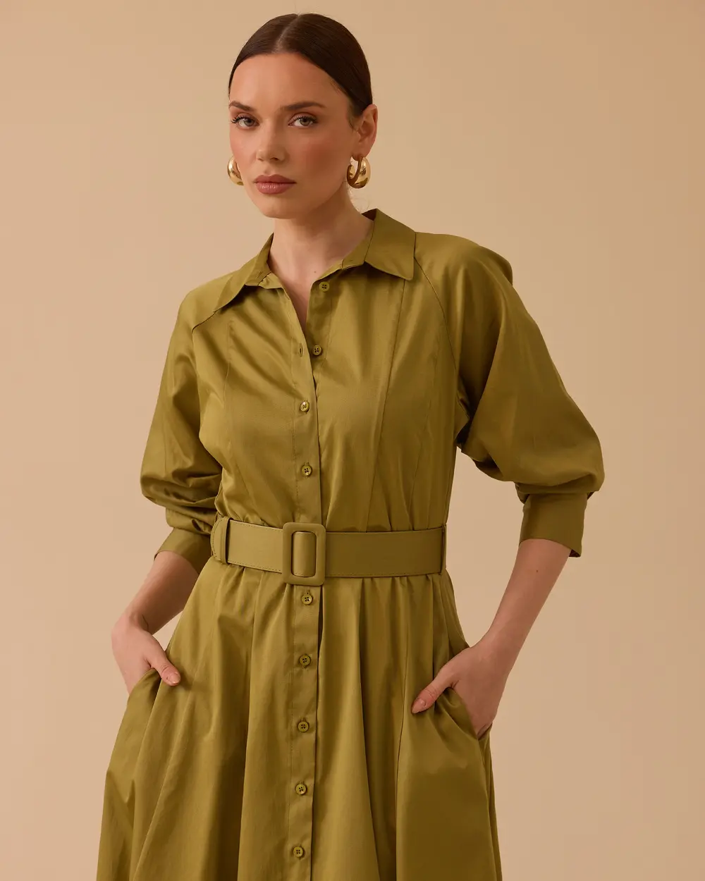 Belted Sleeve Shirred Dress
