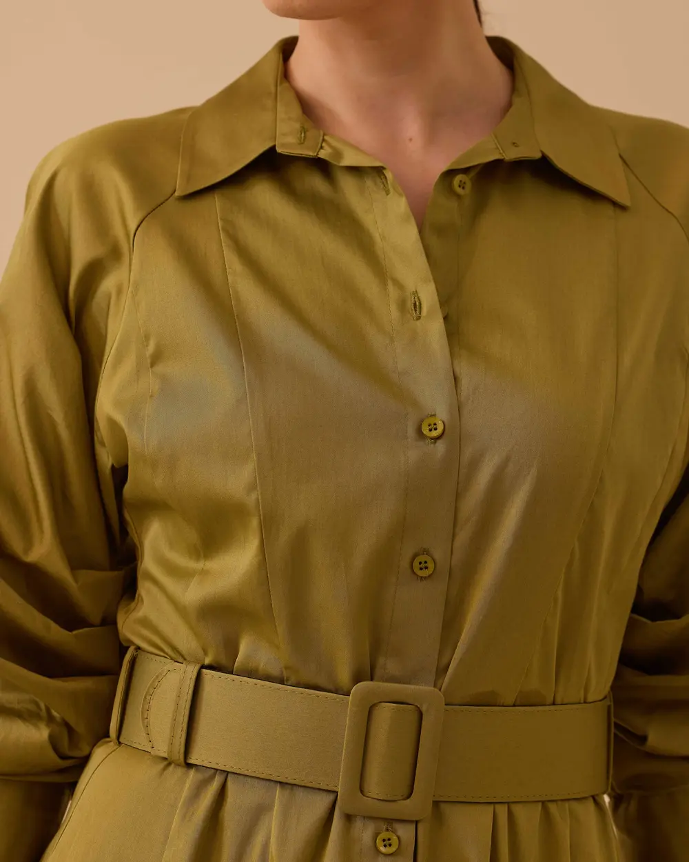 Belted Sleeve Shirred Dress