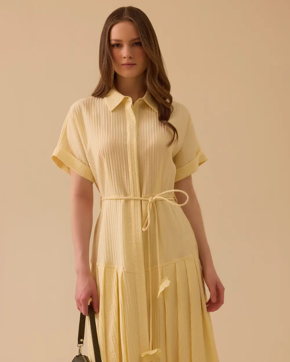 Striped Pleated Belted Dress