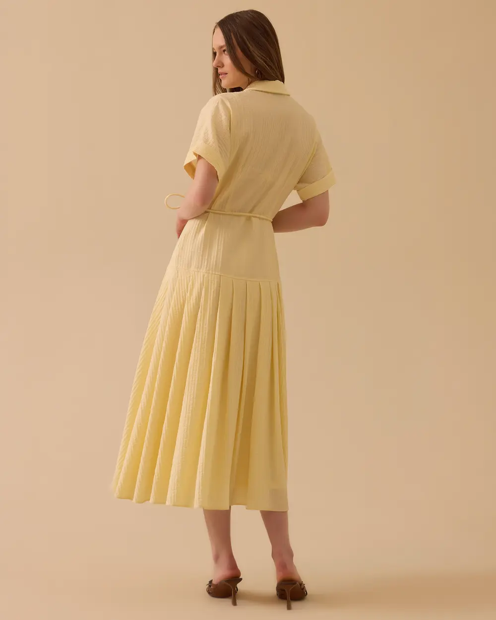 Striped Pleated Belted Dress