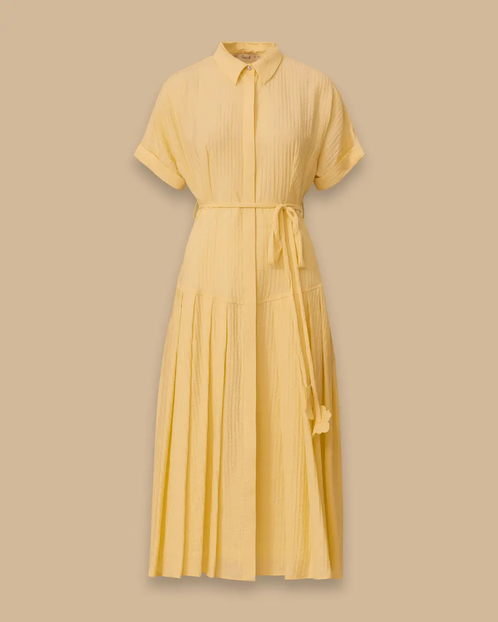 Striped Pleated Belted Dress