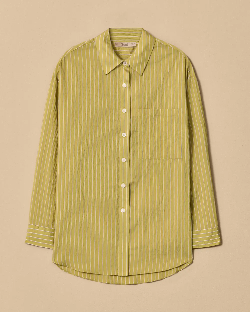 Oversized Striped Shirt