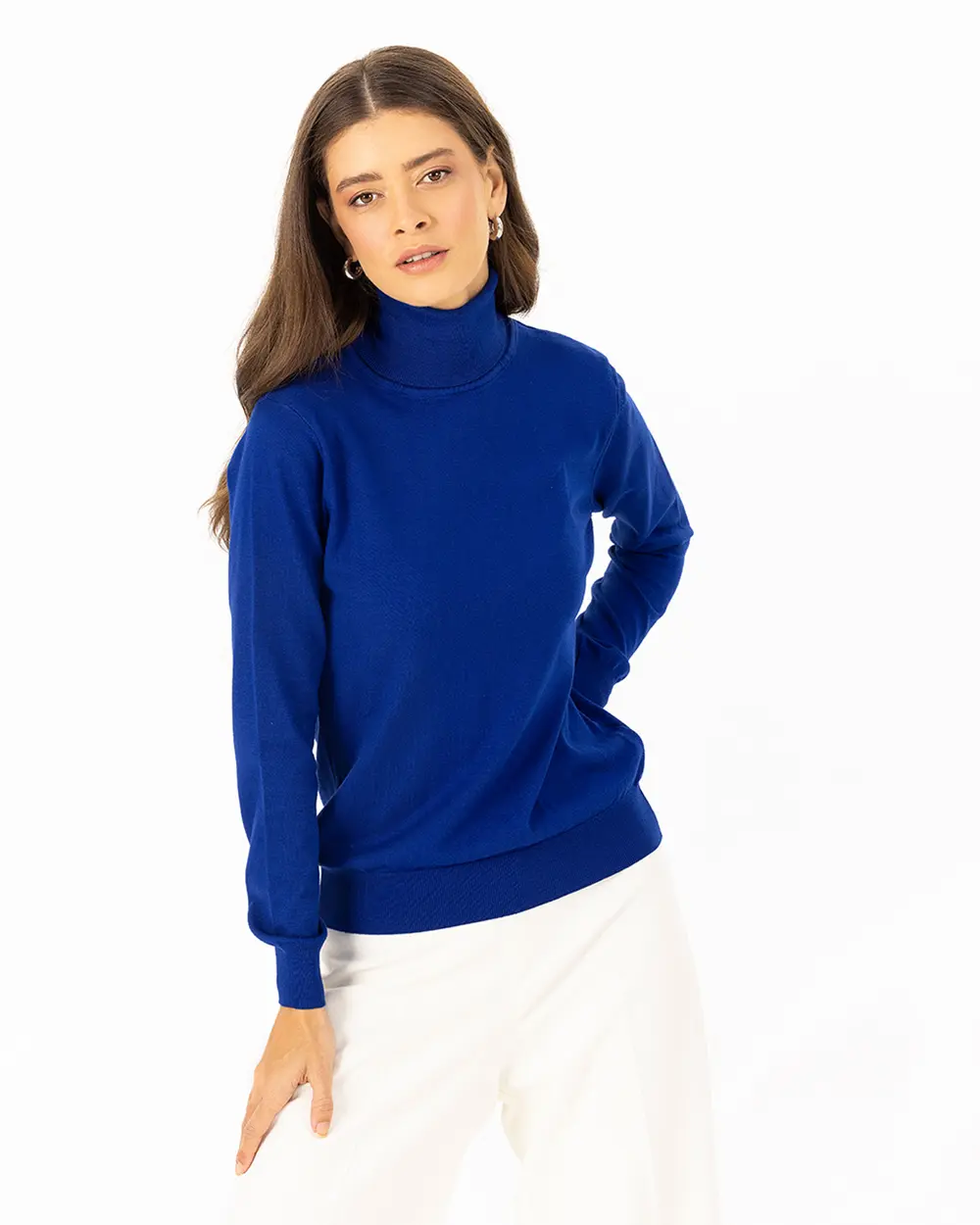 Turtleneck Basic Knitwear Blouse