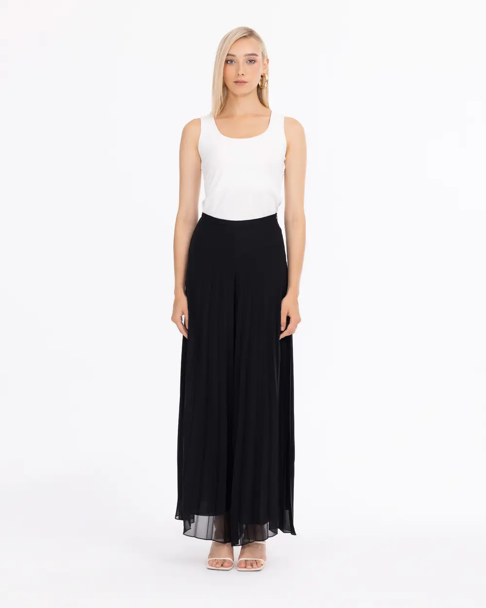 Pleated Wide-Leg Pants with Lining