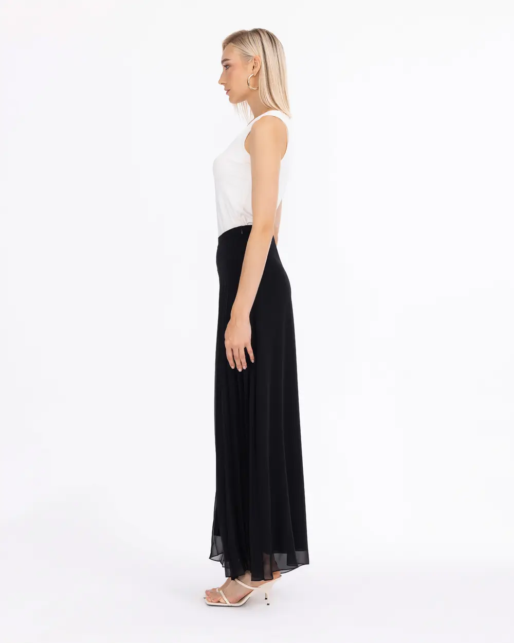 Pleated Wide-Leg Pants with Lining