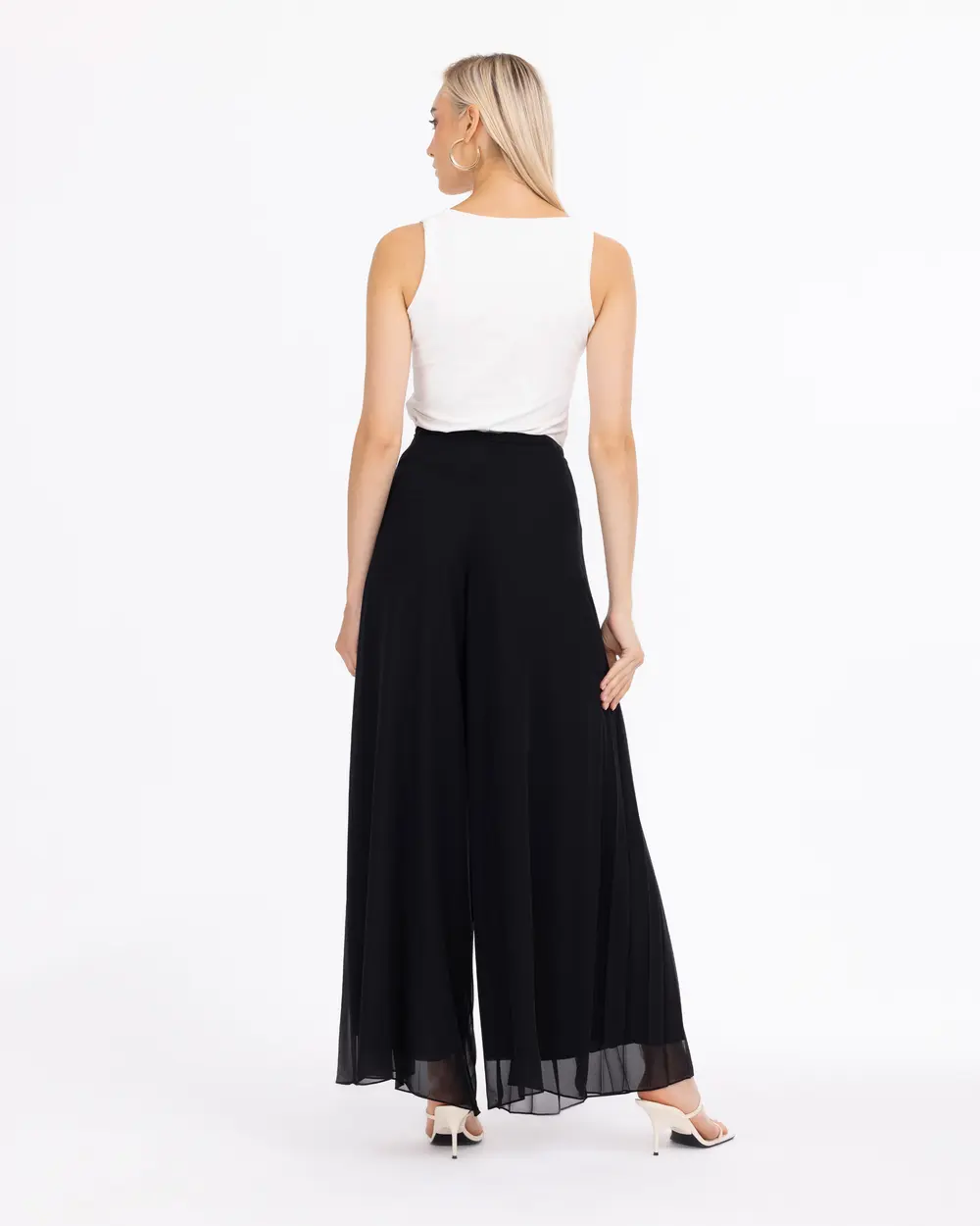 Pleated Wide-Leg Pants with Lining