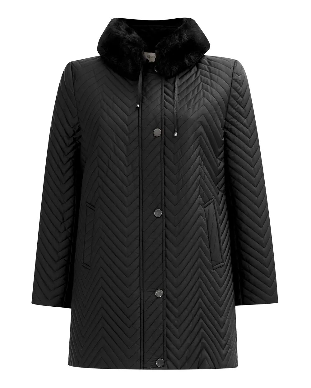 Büyük Beden Dikiş Detaylı Mont