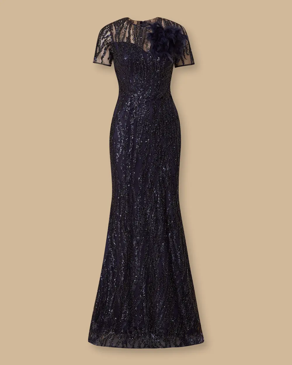 Feather Detailed Short Sleeve Slim Fit Evening Dresses