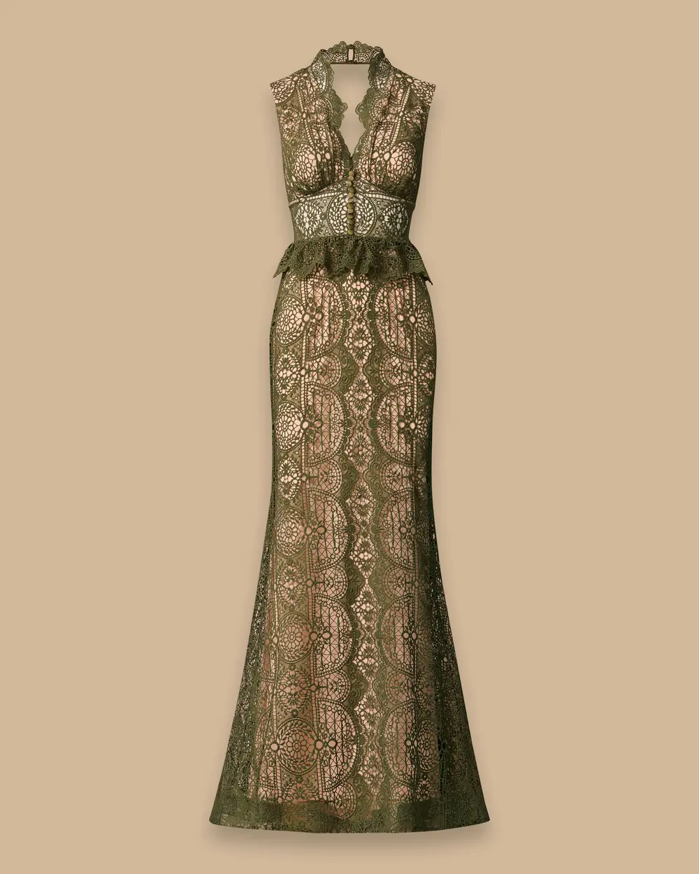 Lace Embroidered Long Evening Dress