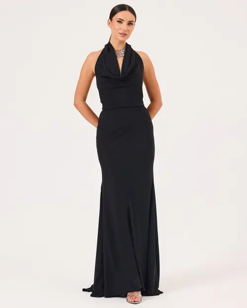 Degaje Collar Back Decollete Evening Dress